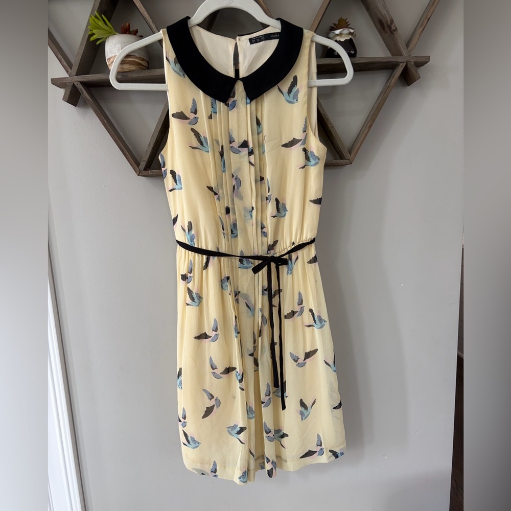 Zara sleeveless whimsical blue bird-print dress, black peter pan collar, belt.